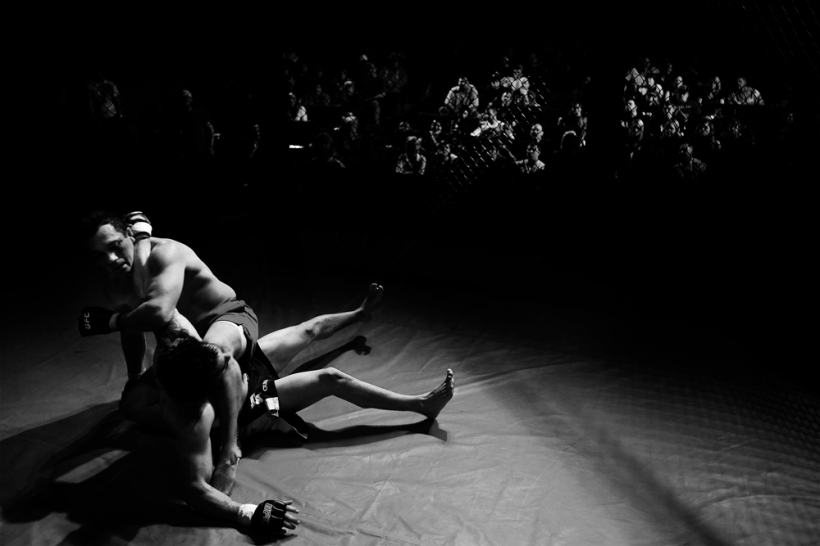 030913-nws-cagefighting001